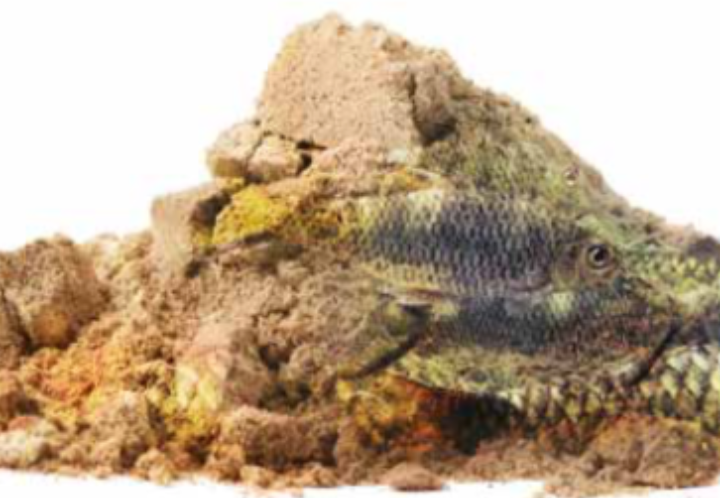 Feather meal for aqua feed:  How to make the best choices