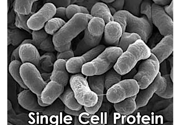 Single cell protein—Is this space technology ready for aquaculture?