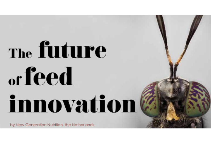 The future of feed innovation