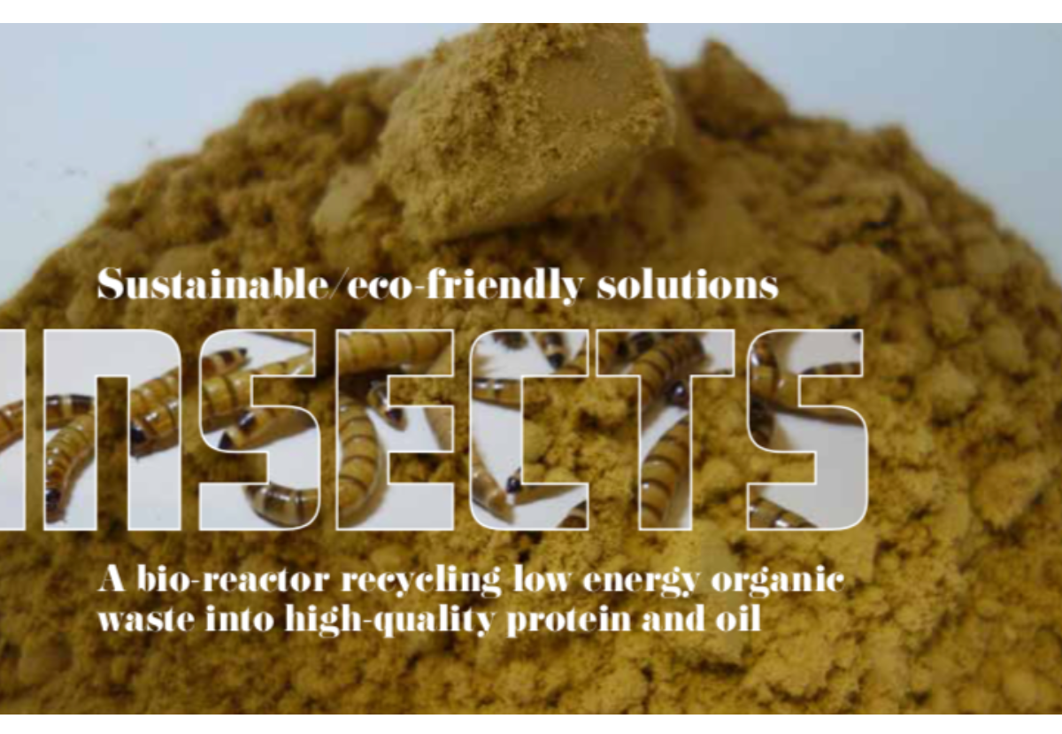 Insects: Sustainable/eco-friendly solutions