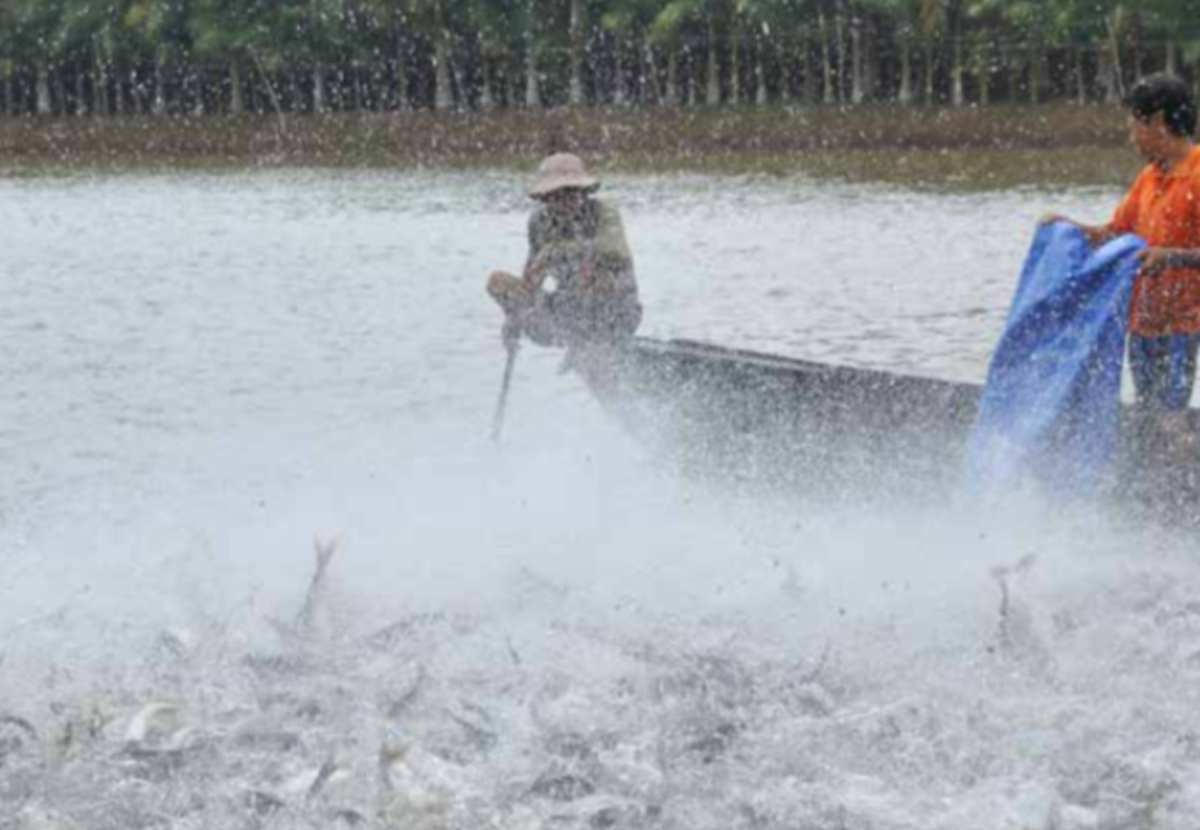 There is more to methionine than growth