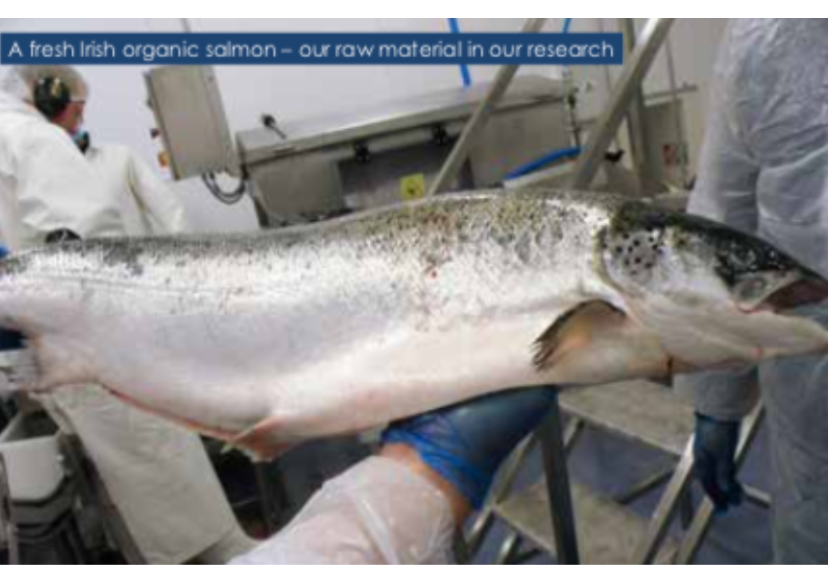 Innovation  and aquaculture