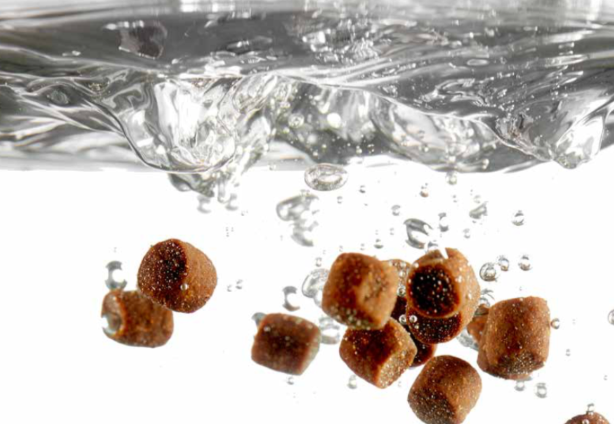 Seasonal nutrition:  Matching fish feed to fish physiology