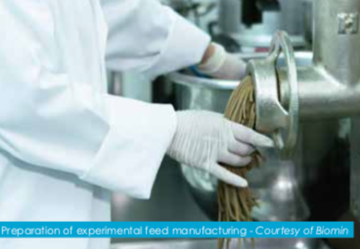 Fumonisins in aquaculture:  The most sensitive species