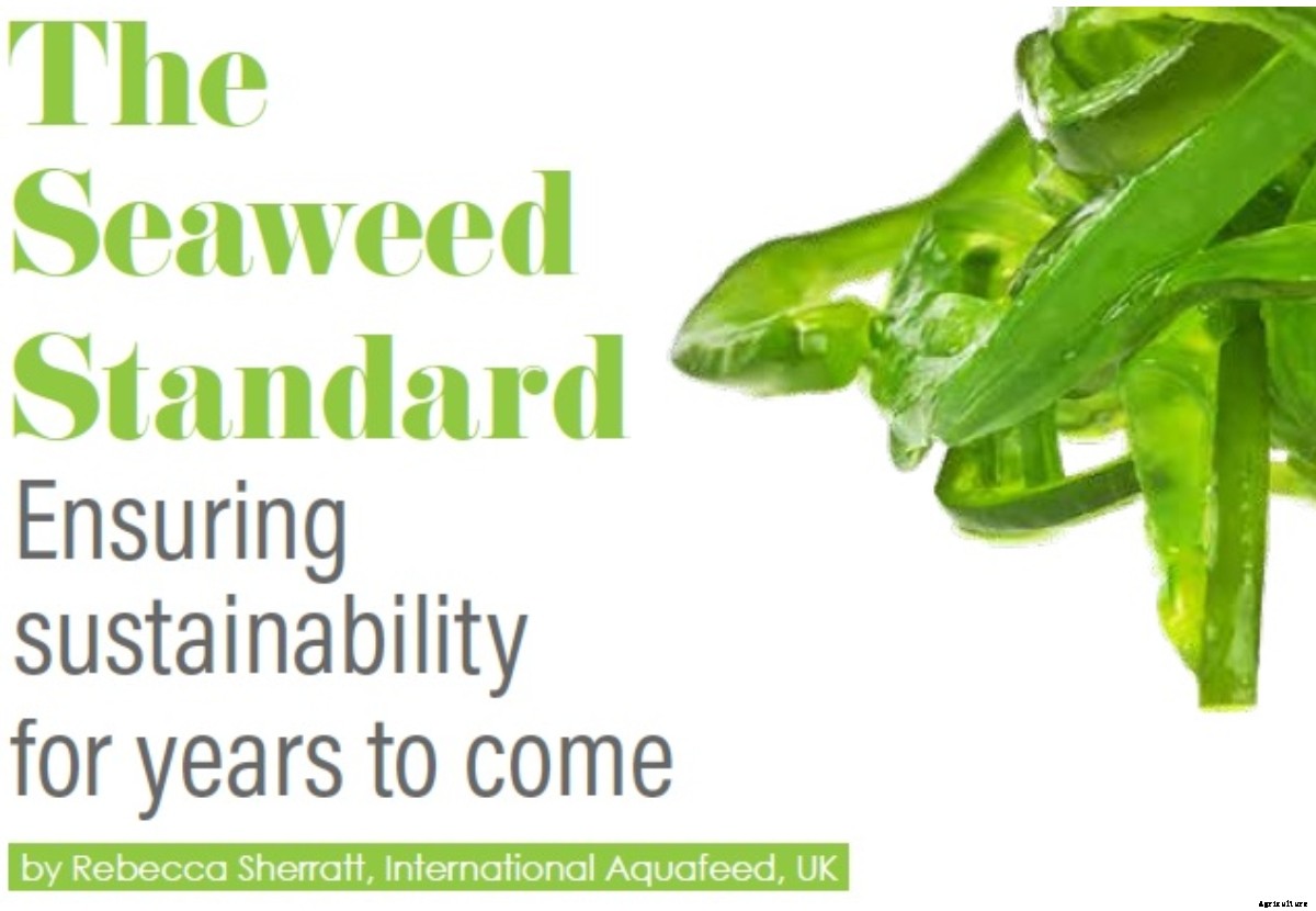 The  Seaweed  Standard Ensuring  sustainability  for years to come