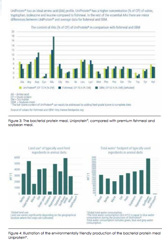 Turning Fuel Into Food