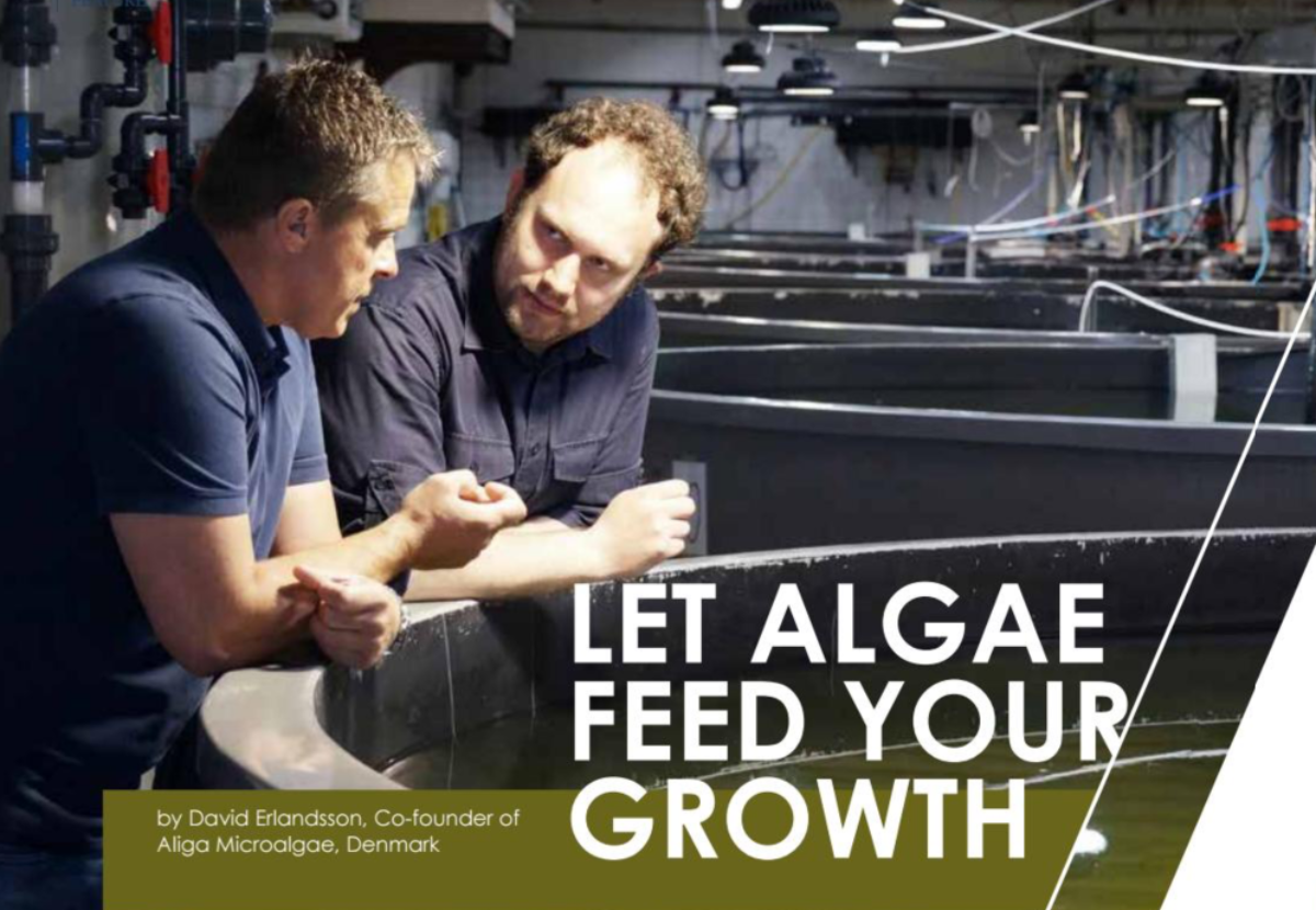 LET ALGAE FEED YOUR GROWTH