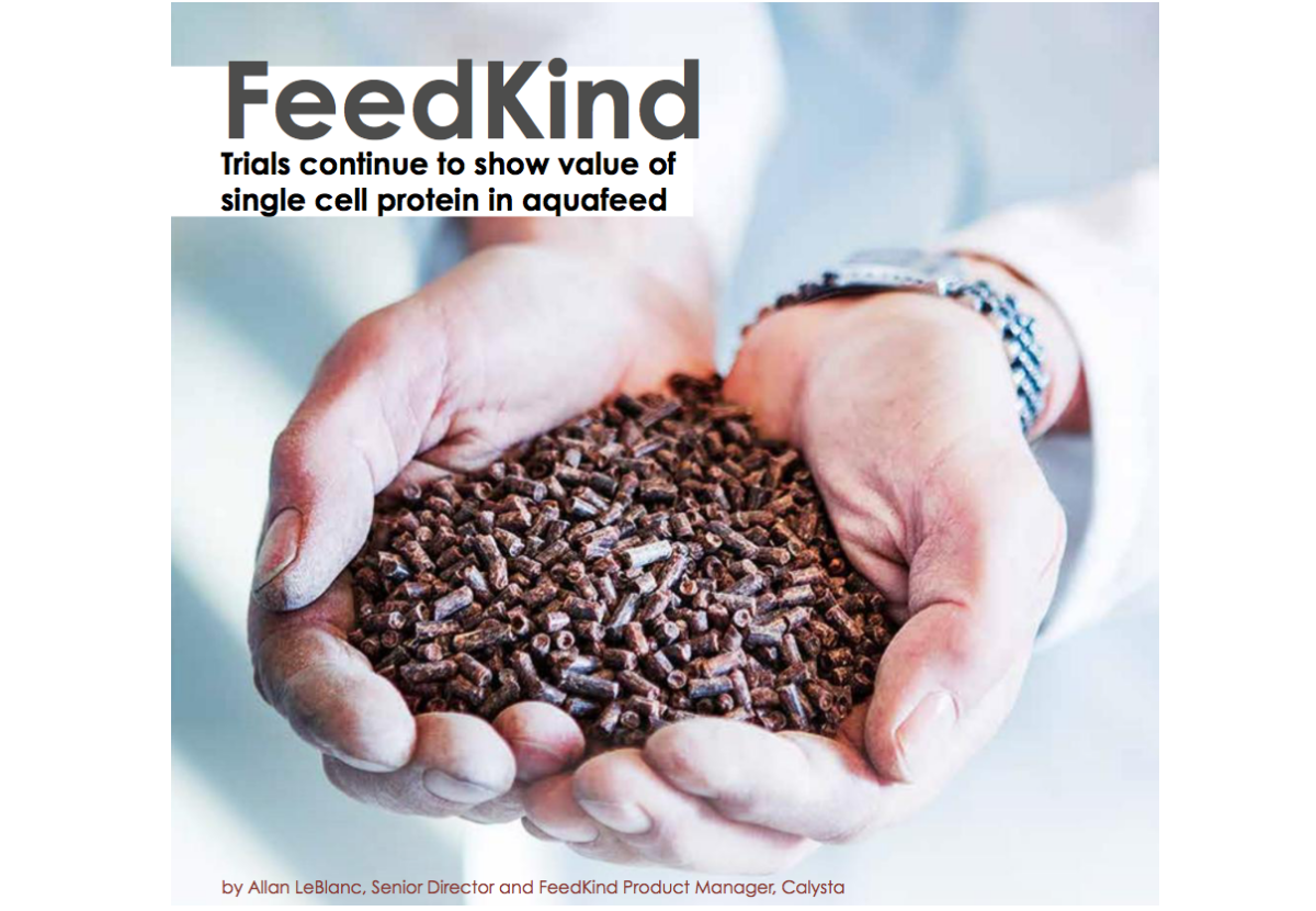 FeedKind, Trials continue to show value of single cell protein in aquafeed