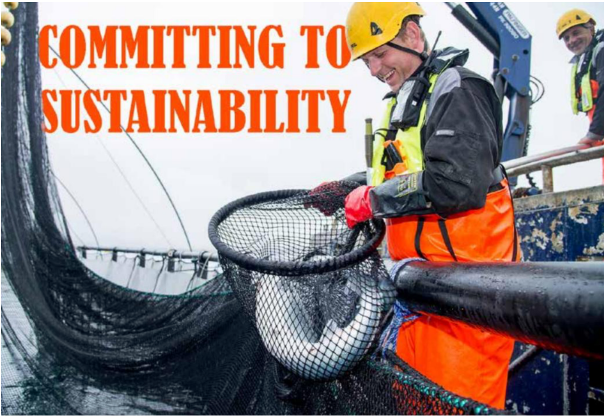 Committing to Sustainabiliti