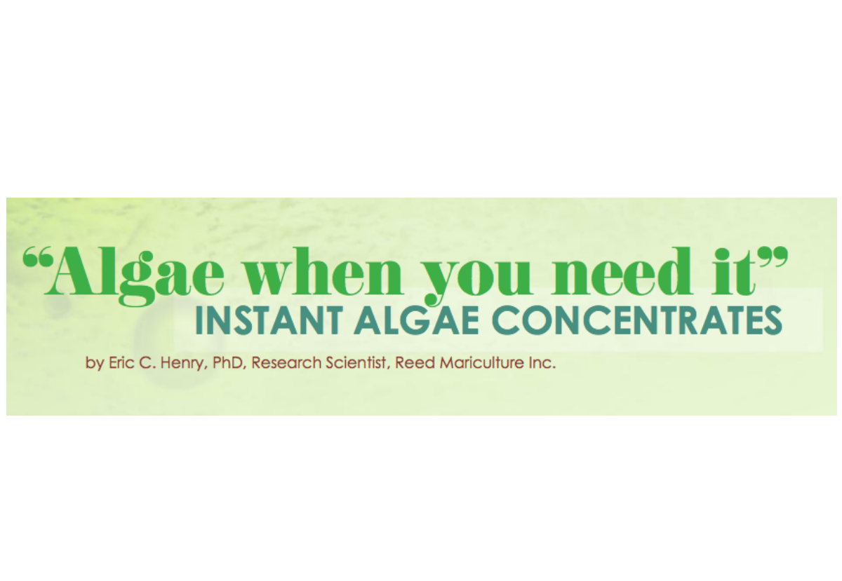Algae when you need it  Instant Algae Concentrates