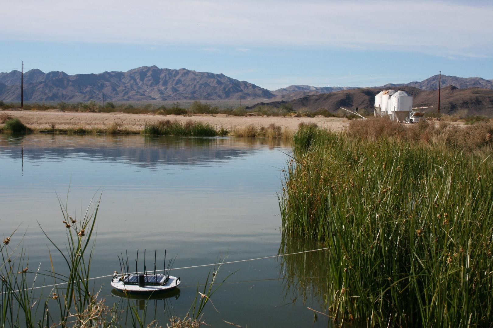 Prepare your farm for spring: Preventing springtime fish deaths on your aqua farm