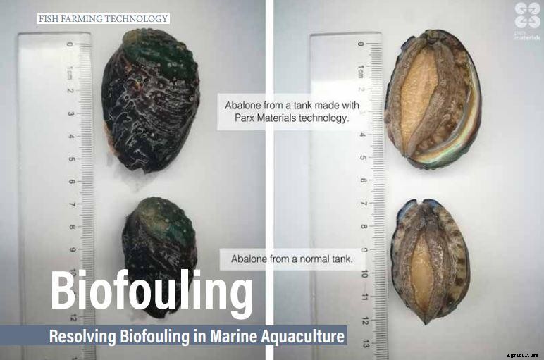 Resolving Biofouling in Marine Aquaculture