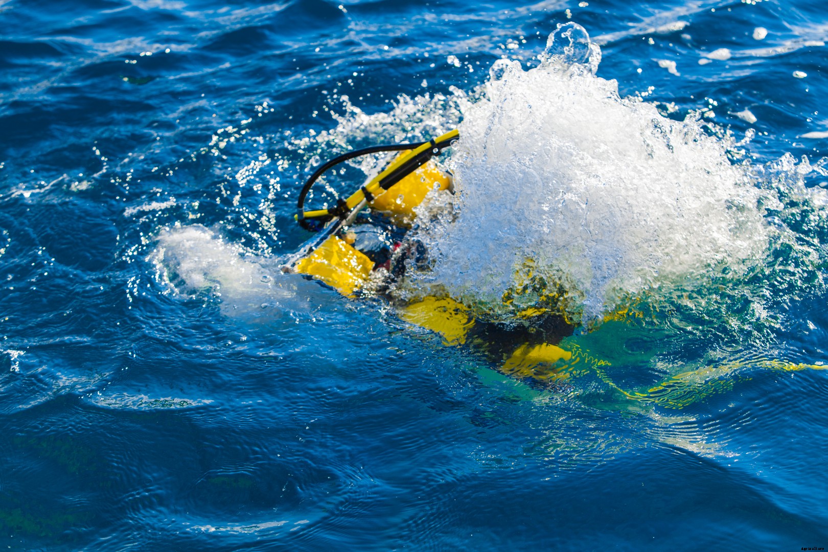 How ROVs are transforming aquaculture