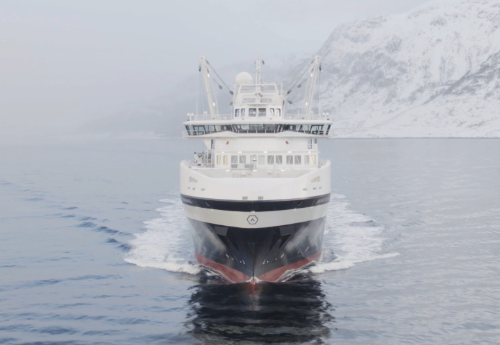 The Antarctic Endurance:  A pioneering feat of marine technology