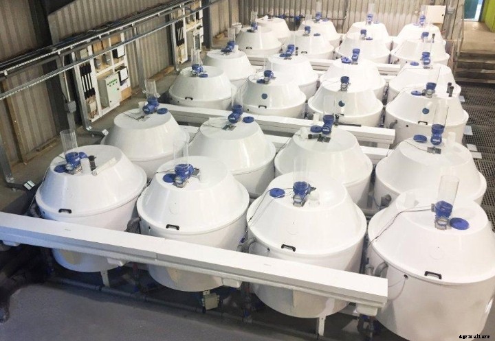 Progressive RAS design