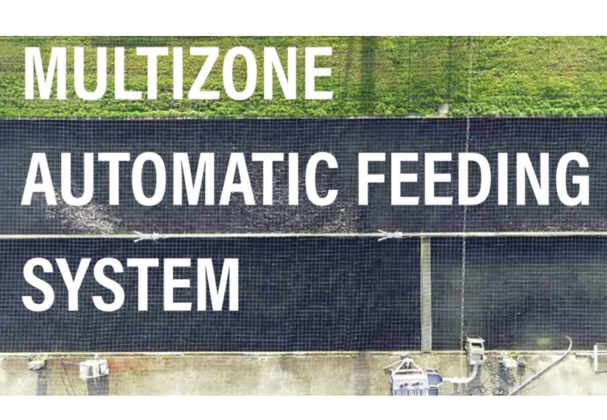 MULTIZONE AUTOMATIC FEEDING  SYSTEM