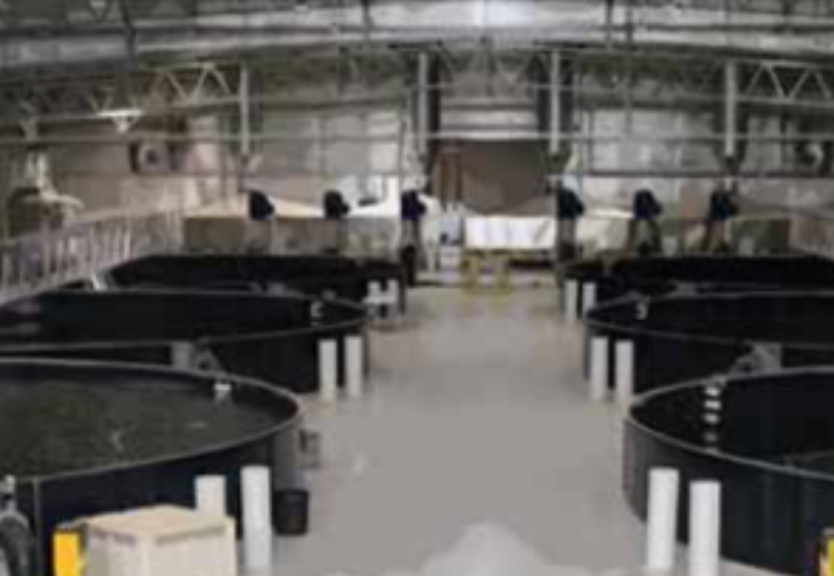 Aquacare controlled environment aquaculture systems