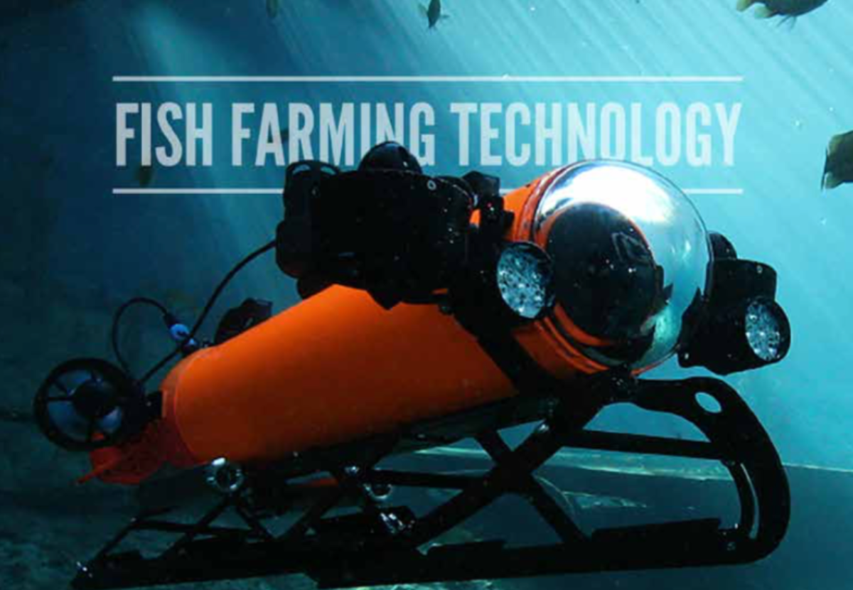 New Rov combines autonomous capability with live remote operation