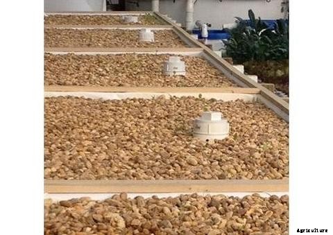 How to Choose the Right Grow Bed for Aquaponics