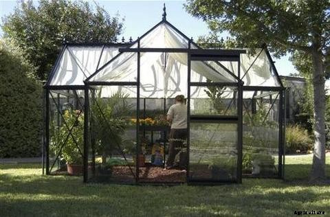 Guide to Aquaponics Greenhouses