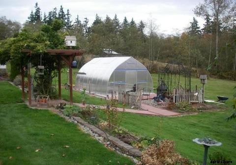 Guide to Aquaponics Greenhouses