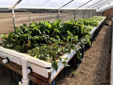 Introduction to Aquaponics