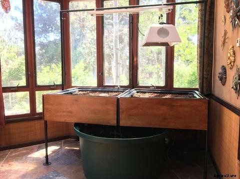 Guide to Indoor Aquaponics Gardening