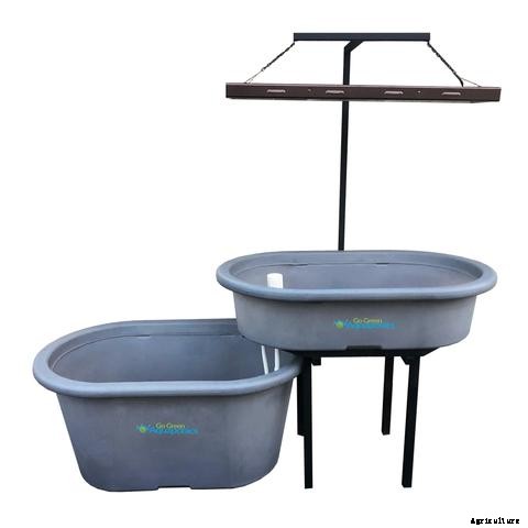 Guide to Indoor Aquaponics Gardening