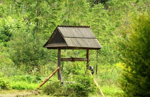 The Importance of Source Water for Aquaponics