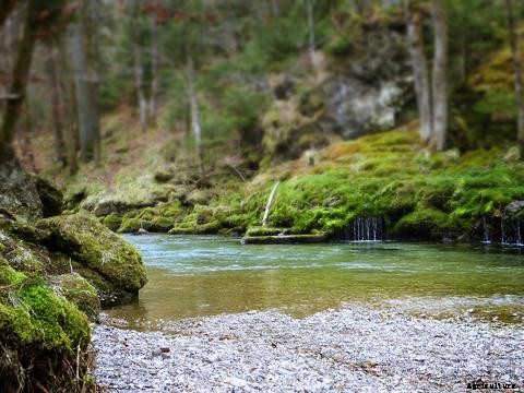 The Importance of Source Water for Aquaponics