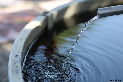 The Importance of Source Water for Aquaponics