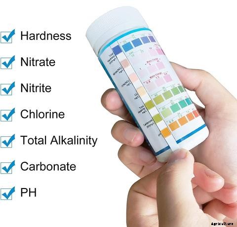 The Importance of Source Water for Aquaponics