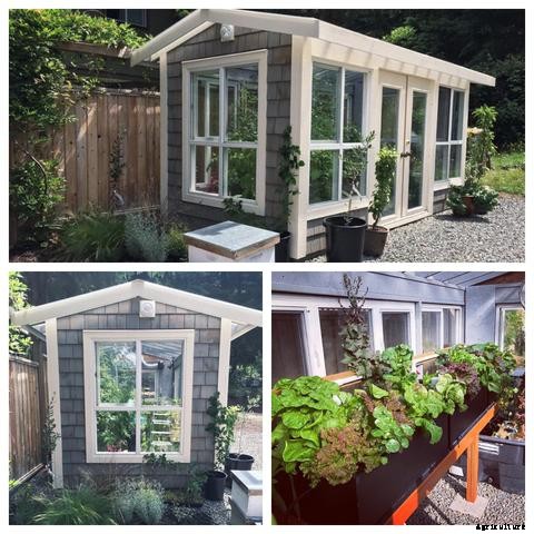 Inspiring Aquaponics Designs You Can Do-It-Yourself