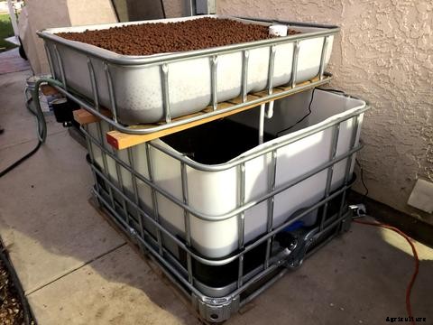 Methods of Cycling New Aquaponics Systems