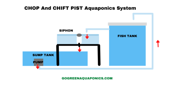 Sump Tank in Aquaponics: Do You Need One?