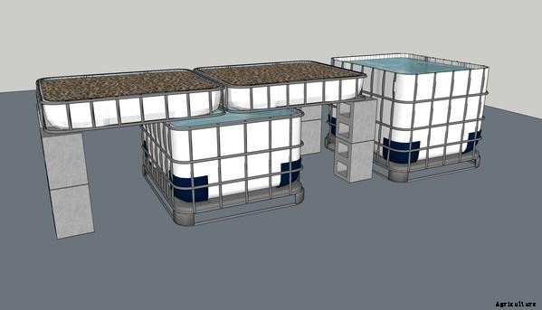 Sump Tank in Aquaponics: Do You Need One?