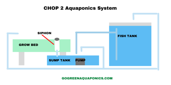 Sump Tank in Aquaponics: Do You Need One?