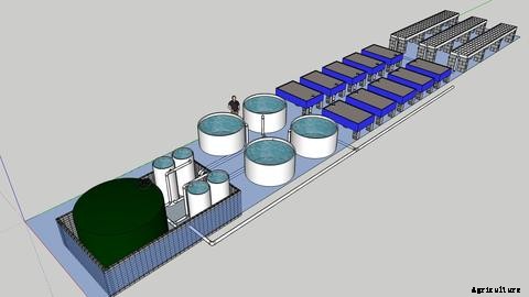 The Different Types of Aquaponics System