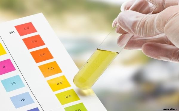 The Importance of pH in Aquaponics