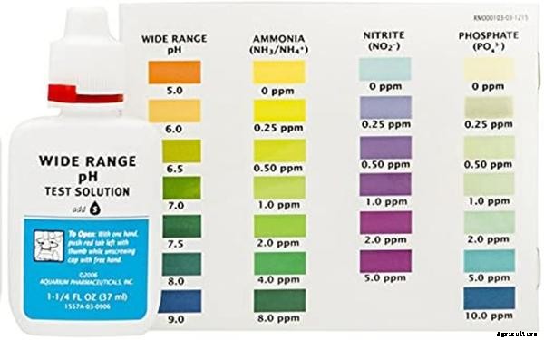 The Importance of pH in Aquaponics