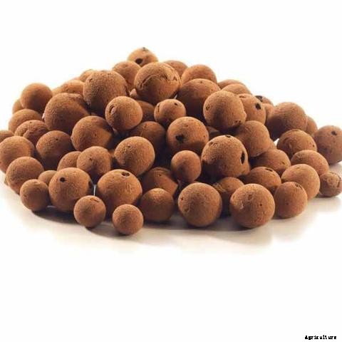 Guide on Choosing the Right Aquaponics Grow Media