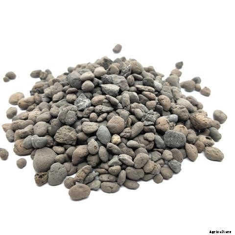 Guide on Choosing the Right Aquaponics Grow Media