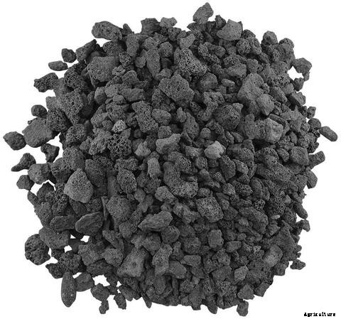 Guide on Choosing the Right Aquaponics Grow Media