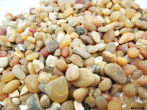 Guide on Choosing the Right Aquaponics Grow Media