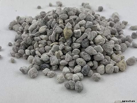 Guide on Choosing the Right Aquaponics Grow Media