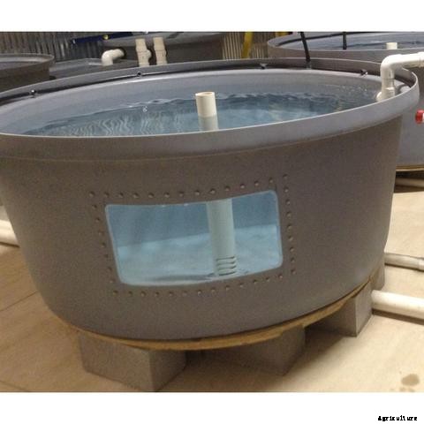 How to Choose the Right Fish Tank for Aquaponics