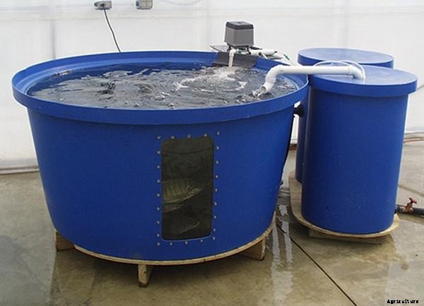 What is a Raft System of Aquaponics?