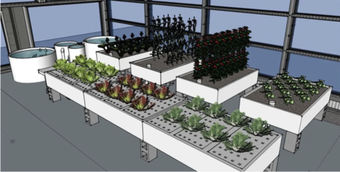 The Ultimate Aquaponics Beginner’s Guide