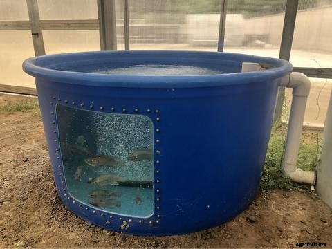 The Ultimate Aquaponics Beginner’s Guide