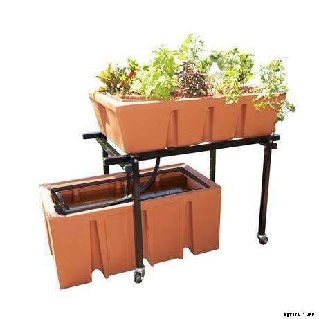The Ultimate Aquaponics Beginner’s Guide
